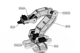 Servo Robot ARM
