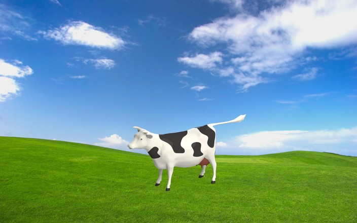 Cow