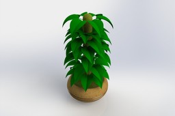 FLOWER.2