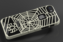 iPhone 5 Cover