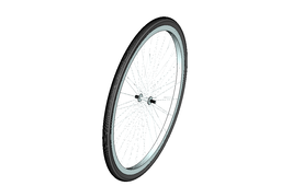 Bicycle Wheel