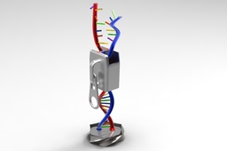 DNA Zipper