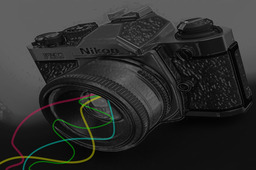 Nikon FM2/n Film Camera