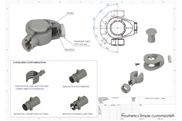 Prosthetics simple customization
