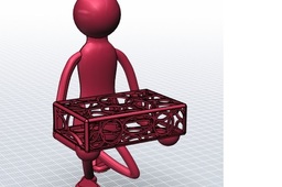 Raspberry Guy