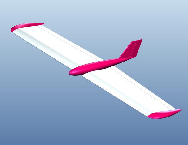 Flying Wing - Bat