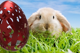 Sculptured egg for Easter