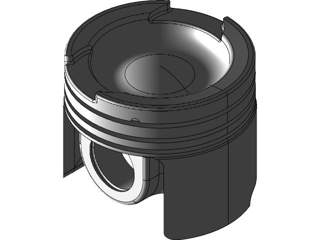 PSA DW10 piston