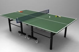 Table Tennis (Ping Pong) Table