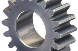 Spur Gear
