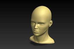 Head