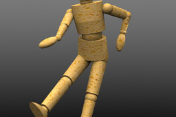 Human body