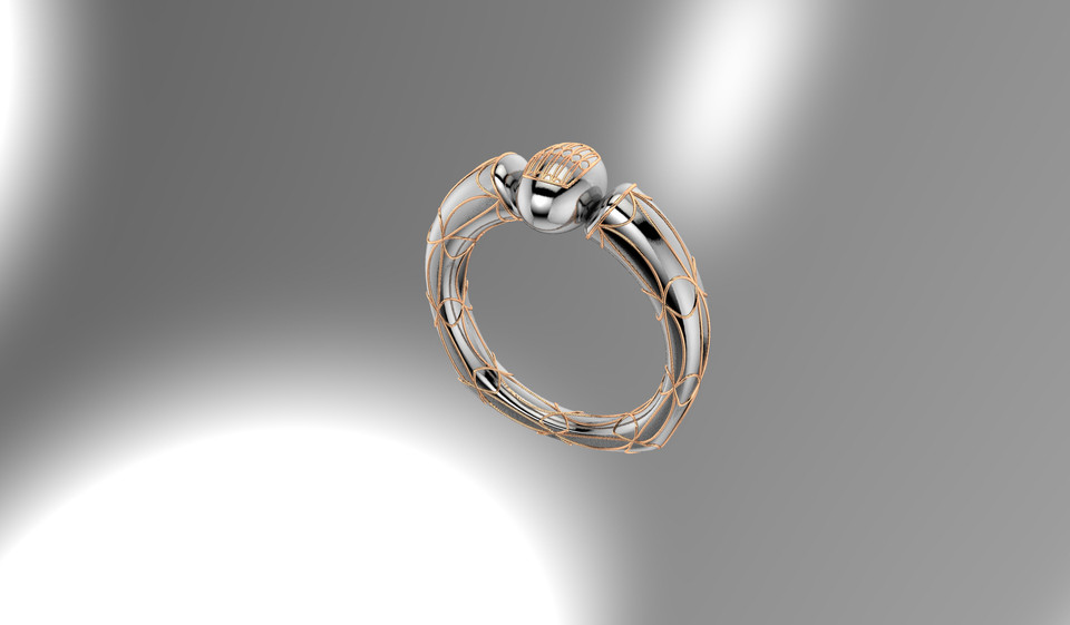 White Gold Ring with Yellow Gold embossing