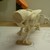 Tiny