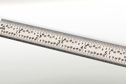 6in Scale