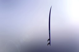 Surfboard