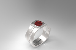 Sliver ring 