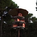 Birdhouse