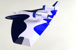 Bagual 5B Target Drone 