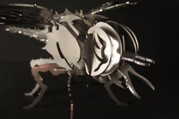 Dragonfly sheetmetal puzzle, insect, 3d model, puzzle