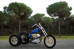 Junkyard Dog