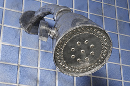 Simple shower head