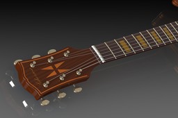 gherson guitar neck 