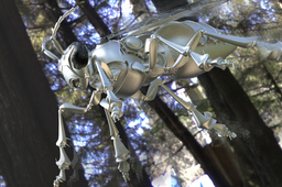 Rendering of the Mechanical bee