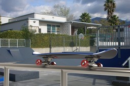 Skateboard