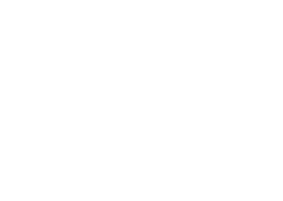 Brake shirk with wire