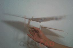 bird-v1