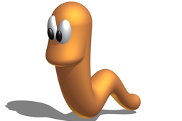 Worm