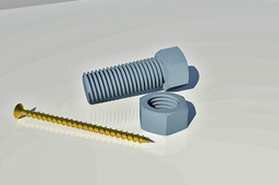 Screw