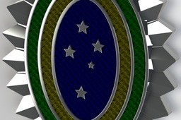 Brazilian army