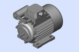 Electric Motor