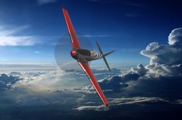 Mustang P 51