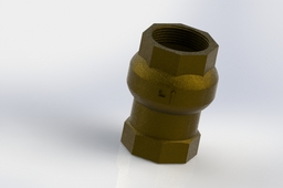 Check valve 1"