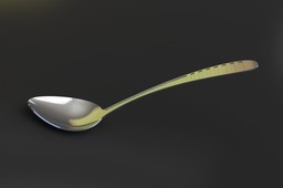 Spoon