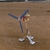 Tiny
