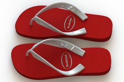 Slippers GrabCAD
