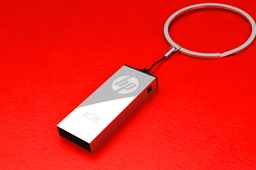 HP v220w Flash Drive