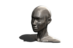 SCALED HEAD