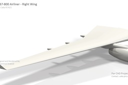 Boeing 737-800 Airliner-Right Wing