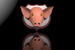 Pig trophy