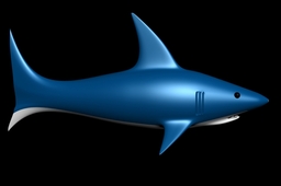 Shark