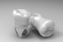 Molar Teeth