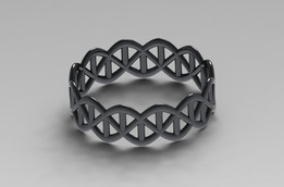 ˫����DNA��������ָ���������