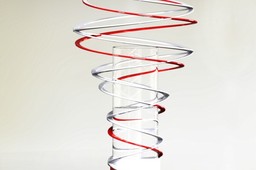 Vase Krines