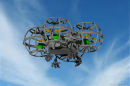 Quad Cage Drone
