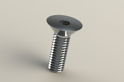 Rotor Bolt